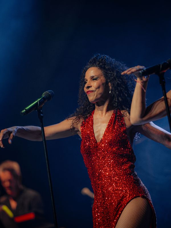 Donna's Hot Stuff | Wilminktheater Enschede 2027