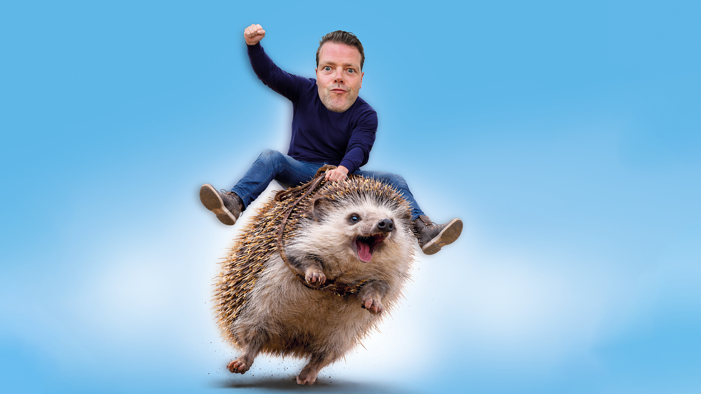 Overprikkeld - Martijn Koning