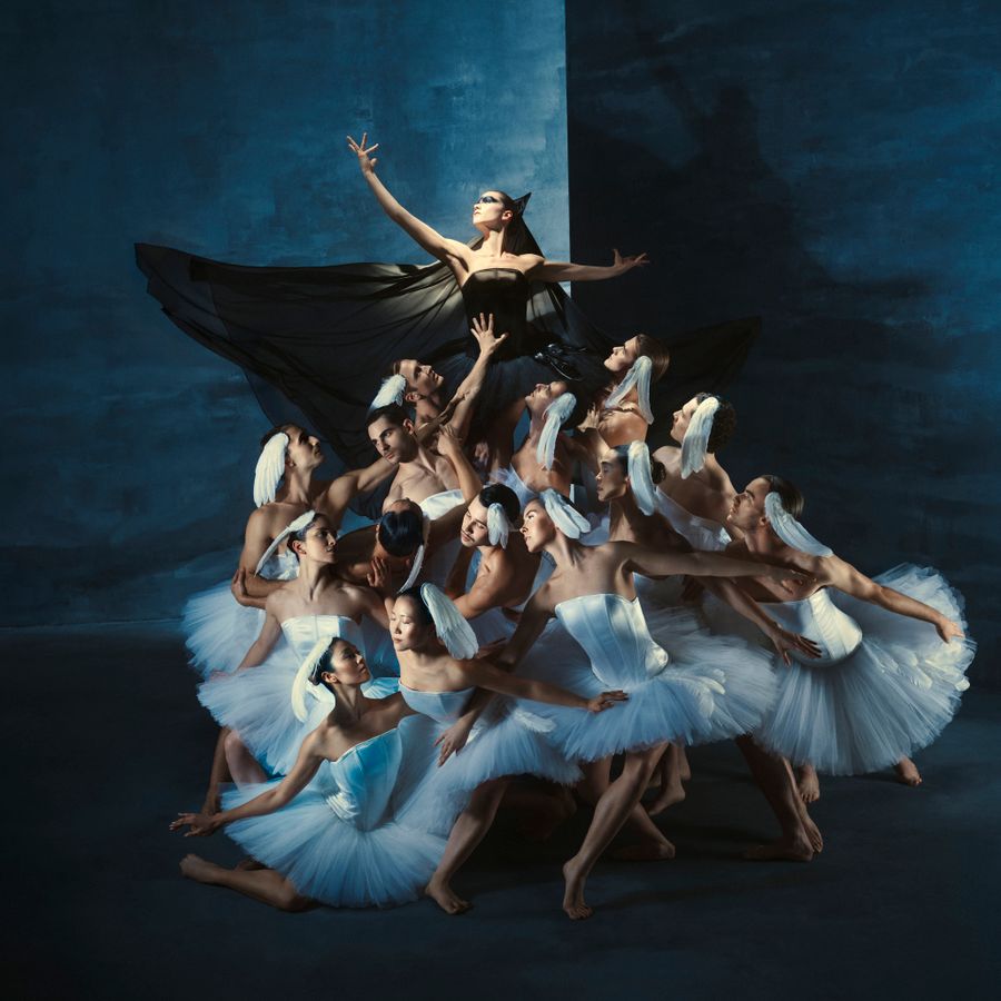 Promobeeld Swan Lake - Introdans