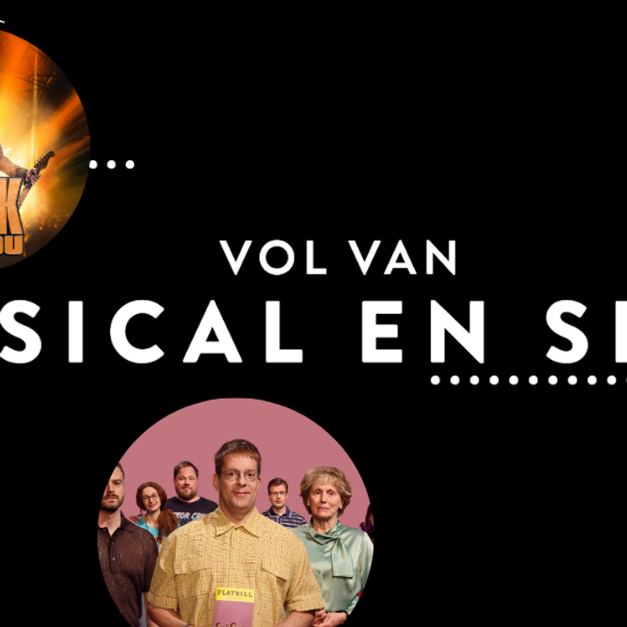 Musicals en Show bij het Wilminktheater in Enschede