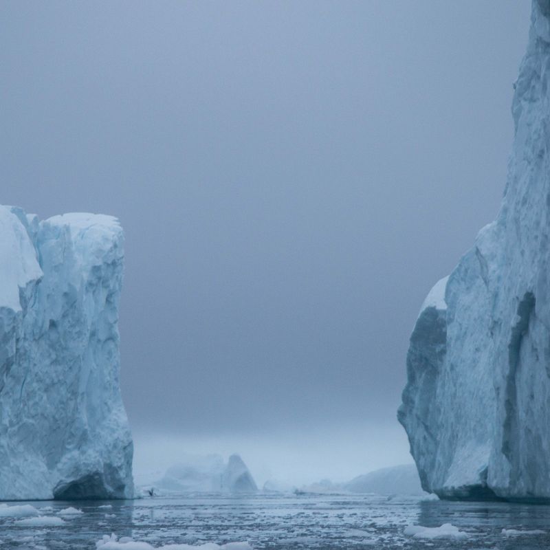 IJS - ADAM Quartet en Jaco Benckhuijsen | Wilminktheater Enschede