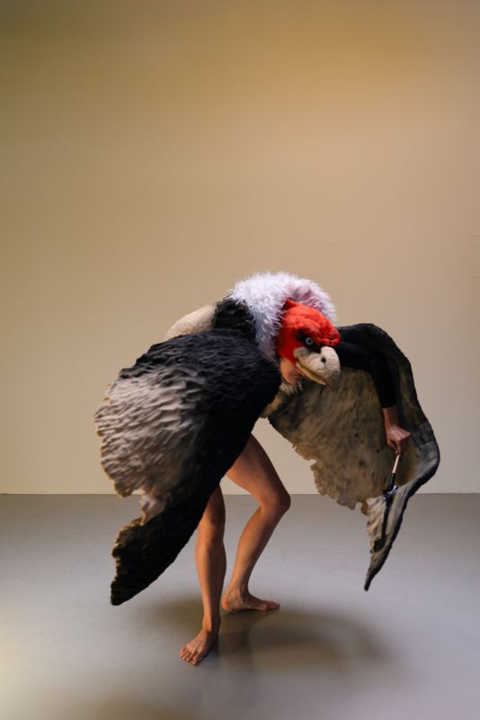 Mannenwolf en de Gier - Duda Paiva Company - De Kleine Willem - Enschede - 2027