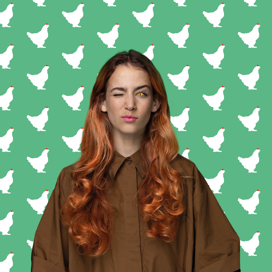 Header van de voorstelling Het Sluwe Vosje van de Nederlandse Reisopera