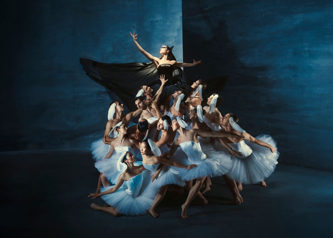 Promobeeld Swan Lake - Introdans
