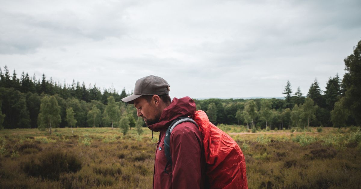 Wanderings — Tim Knol