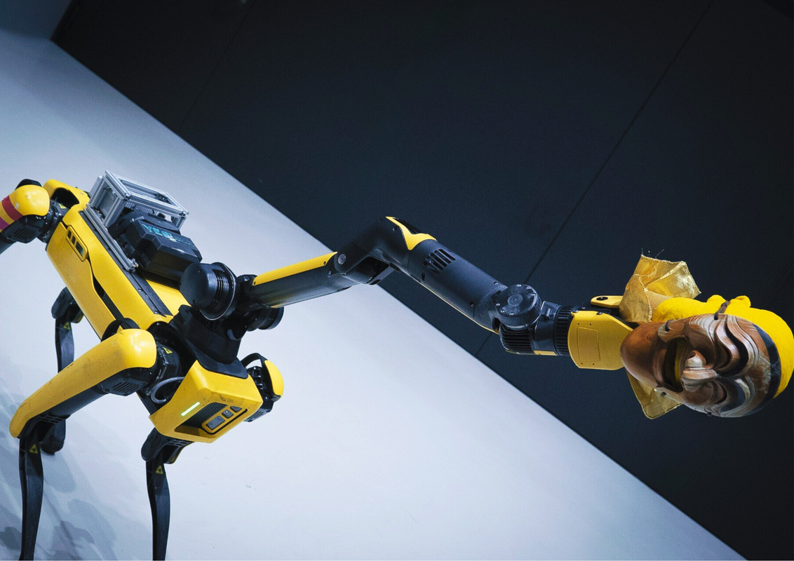 Promobeeld Roboverse 