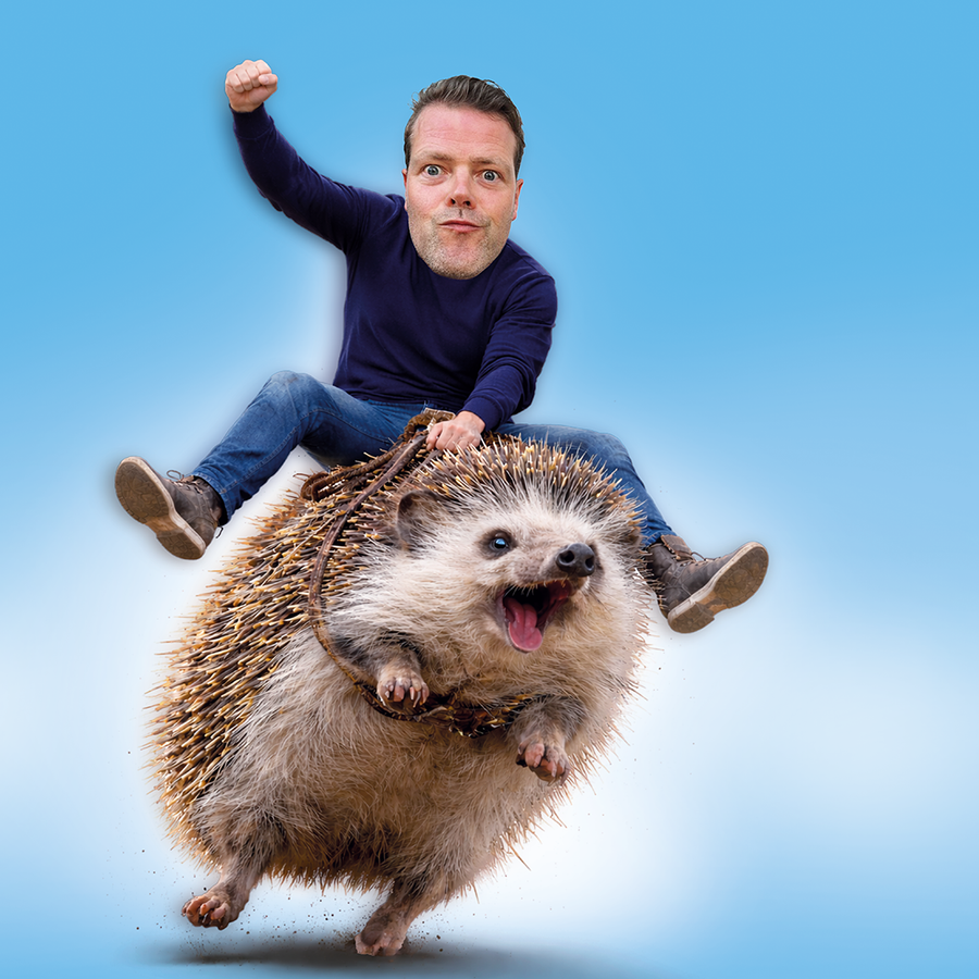 Overprikkeld - Martijn Koning