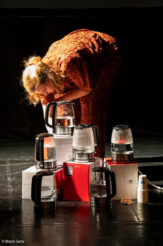 Lotte Bakker - De Rots | Wilminktheater Enschede 2026