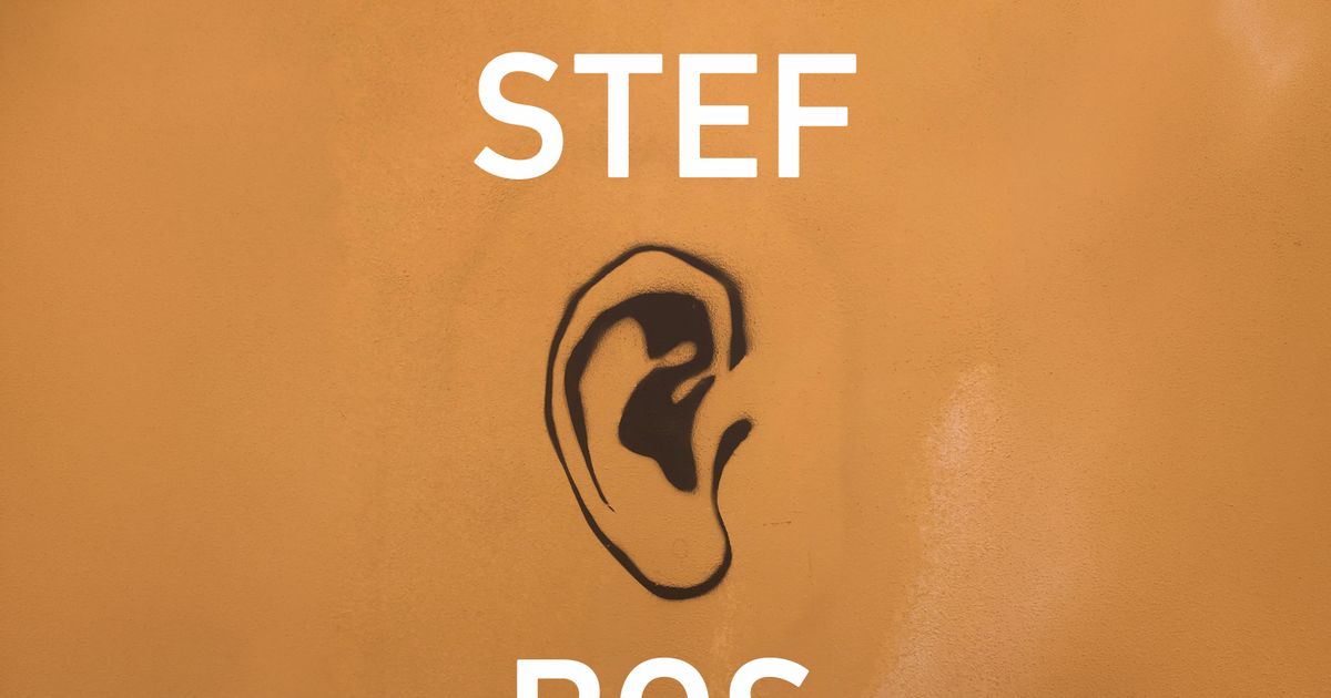 ONGEHOORD — Stef Bos