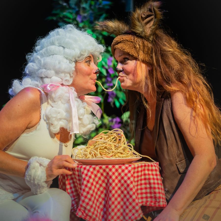 Lady en de Vage Hond | RUMOER Wilminktheater