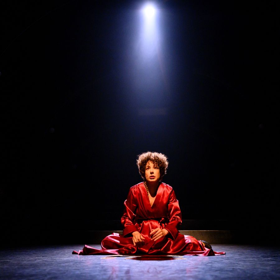 Piaf_Suzan_Seegers_Wilminktheater_Enschede_2026