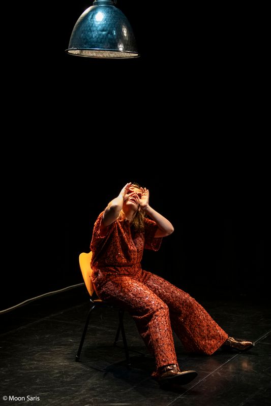 Lotte Bakker - De Rots | Wilminktheater Enschede 2026