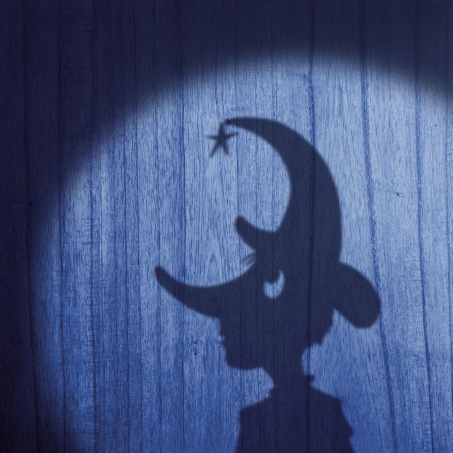 Pinokkio | Wilminktheater en Muziekcentrum Enschede