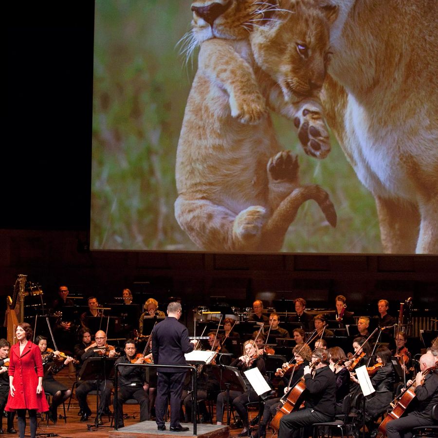 Concert Ageeth de Haan