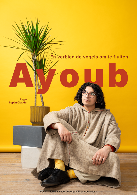 Ayoub - En verbied de vogels te fluiten | Wilminktheater Enschede 2026