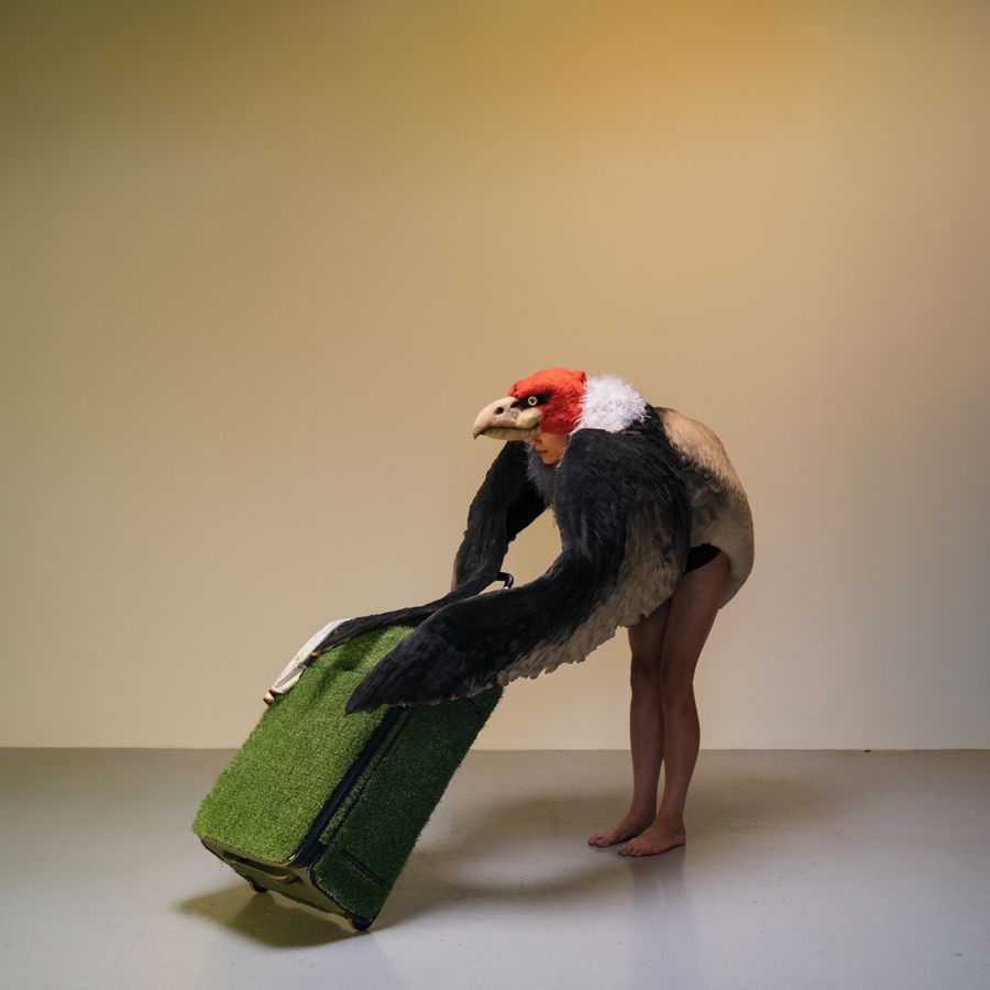 Mannenwolf en de Gier - Duda Paiva Company - De Kleine Willem - Enschede - 2027