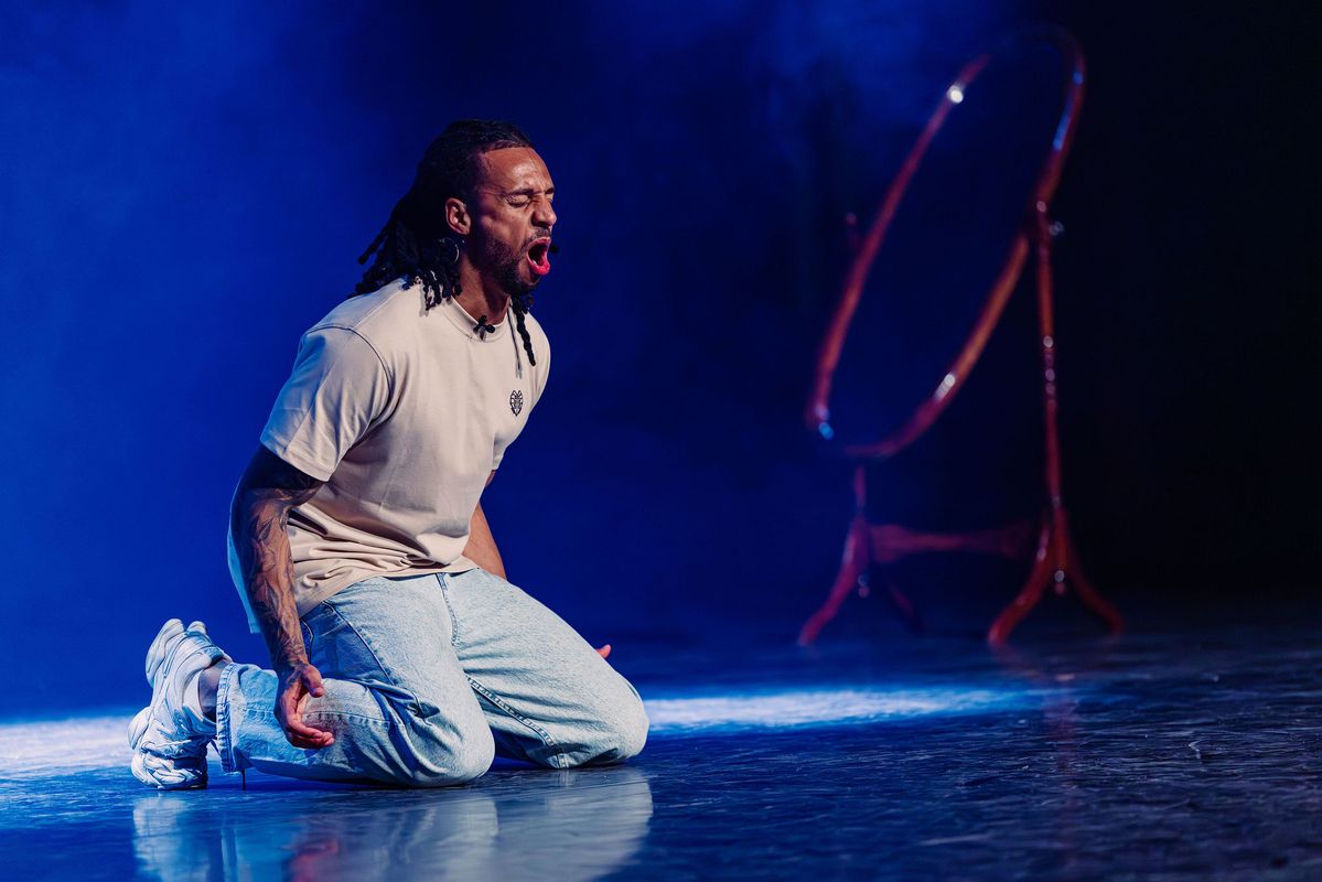 Jay Francis - Tunnelvisie - Wilminktheater - 2027