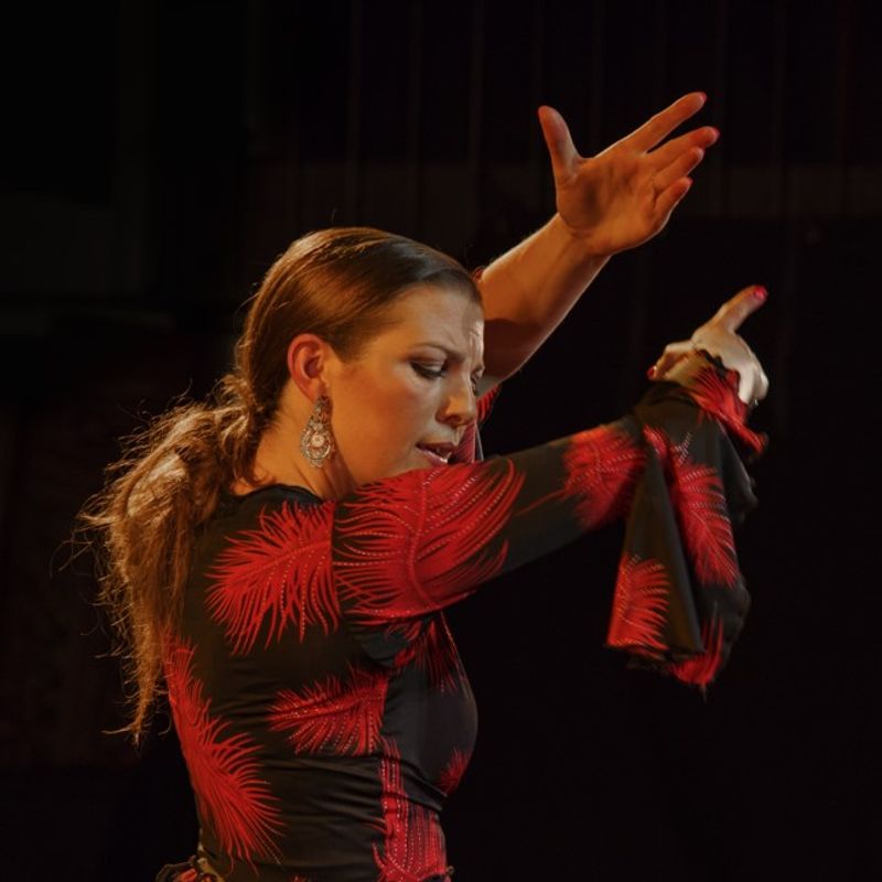 Flamenco sin Fronteras
