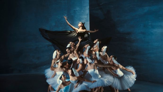 Promobeeld Swan Lake - Introdans
